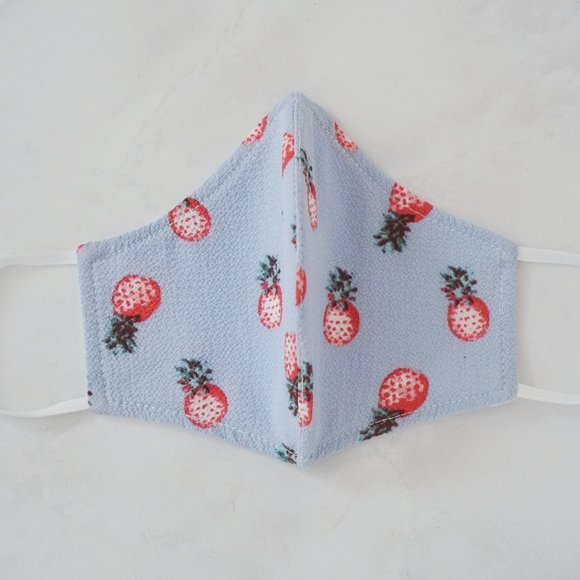 Hand Crafted Other - Handmade Pineapple Patterned Face Mask